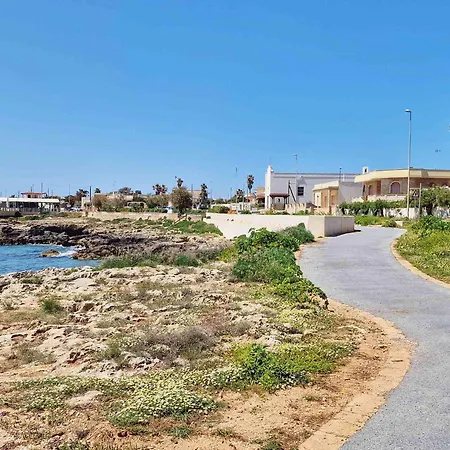 Fico D'india 1 A 100mt Dal Mare
