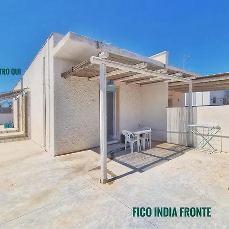 Fico D'india 1 A 100mt Dal Mare Apartment *
